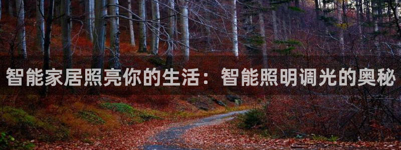 云顶国际平台游戏