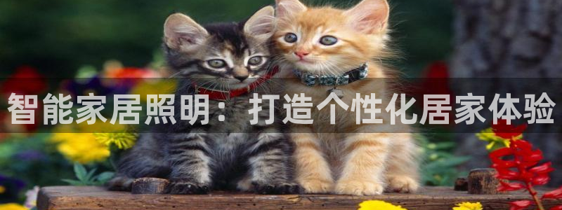 云顶国际平台游戏app