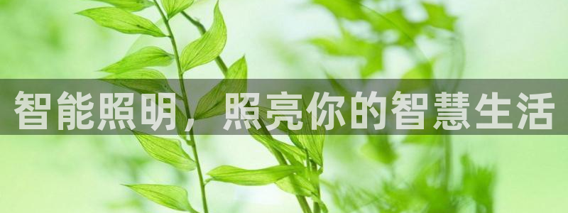 云顶集团董事长林东简历