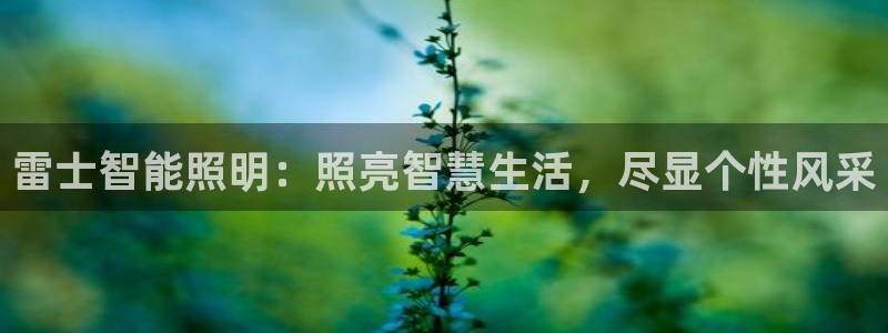 北大街云顶国际酒店在哪