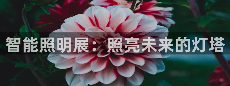 云顶国际宴会中心怎么样