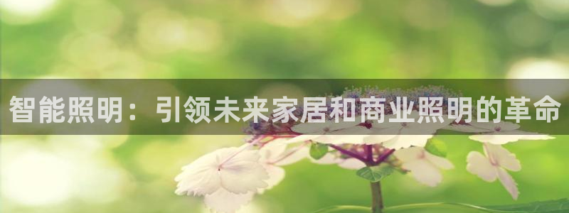 云顶国际和百姓渔村哪家好