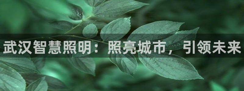 云顶国际在线购彩app