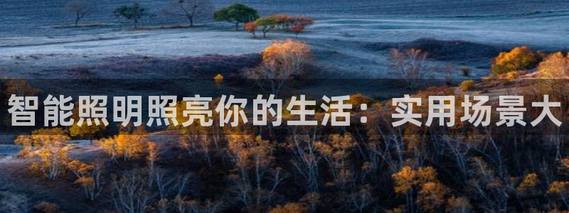 yd2333云顶