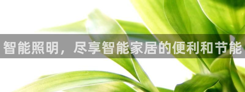 云顶国际林梧桐
