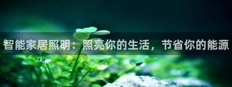 云顶集团林东简介