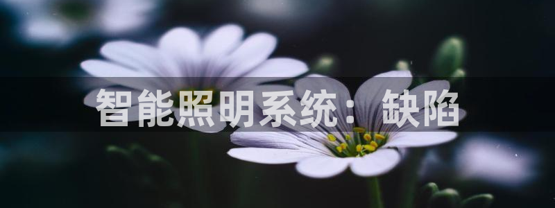 云顶国际游戏平台官网