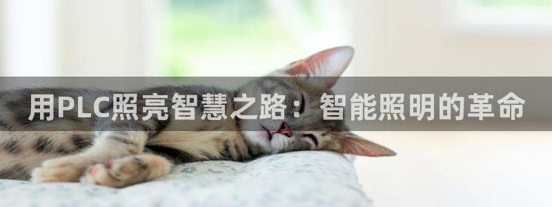 云顶dj