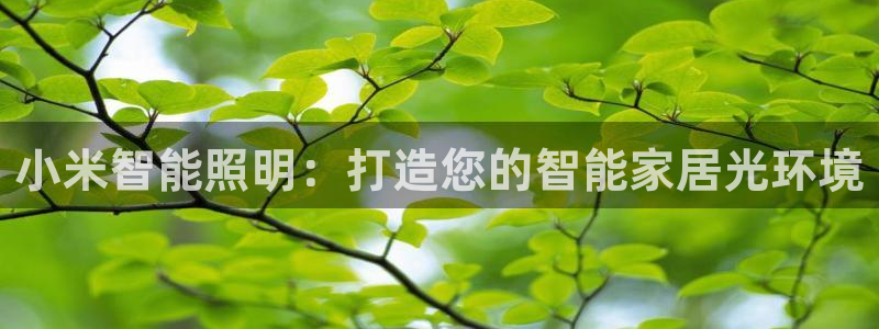 云顶国际公馆二手房出售