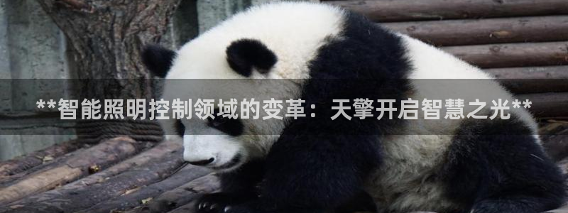 云顶国际ktv会所电话
