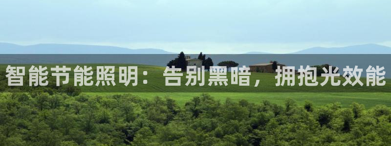 云顶国际服没有改名卡