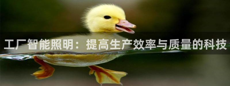 云顶国际服和端游互通吗