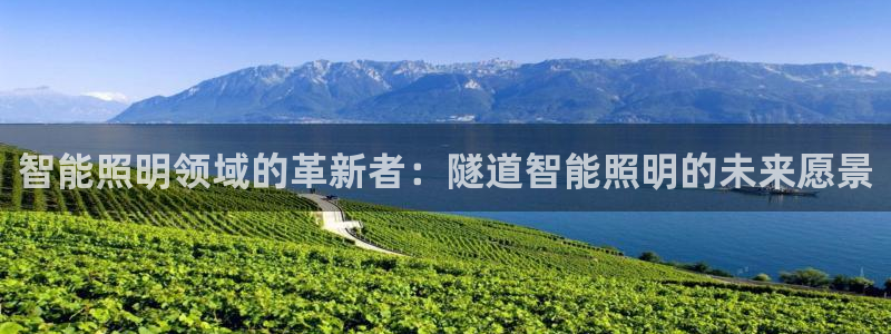 云顶国际服名字
