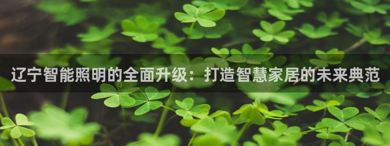 云顶国际服叫啥