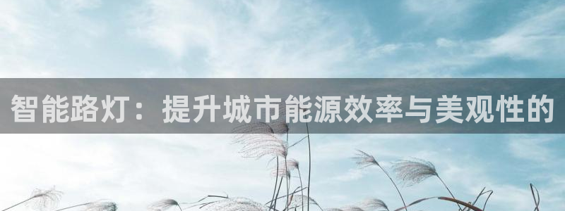 云顶集团有限公司,林东简历