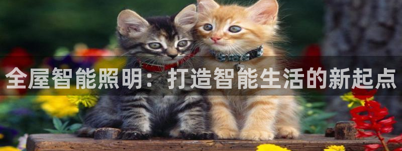 云顶国际官方网页