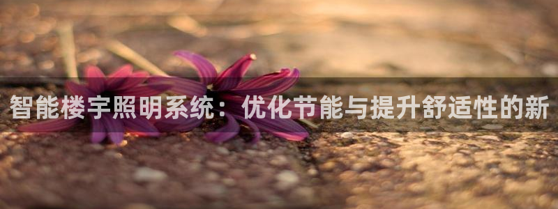 云顶国际服s11