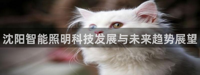 云顶国际app官方下载安装苹果