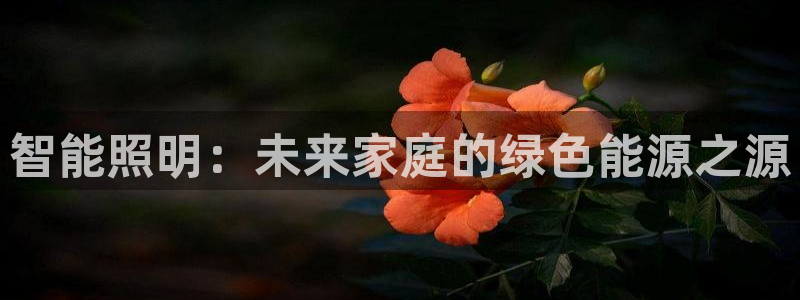 云顶国际cq9