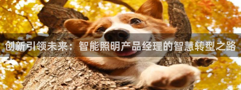 云顶国际app官方下载安卓