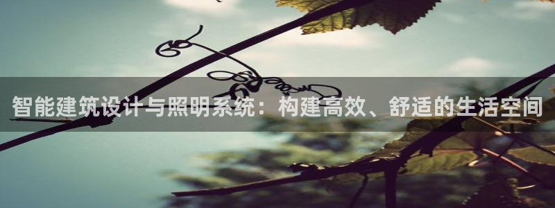 云顶国际网站是多少