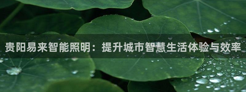 云顶国际教育