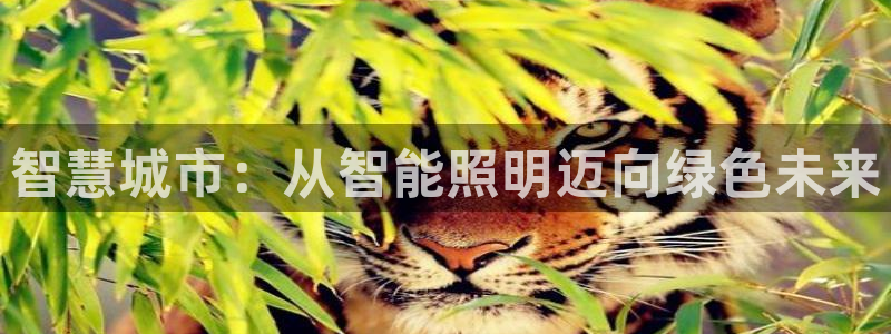 云顶国际城手机网址是多少