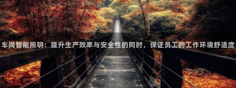 云顶国际是做什么的公司：车间智能照明：提