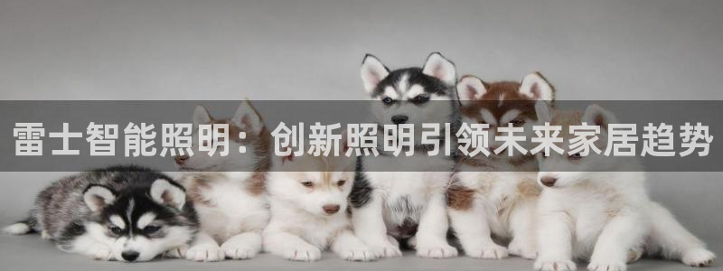 云顶国际是不是真的吗