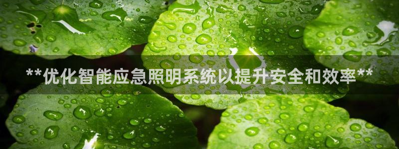 云顶国际平台app