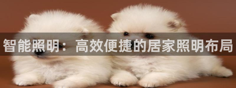 云顶国际俱乐部