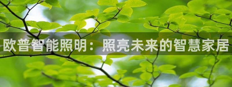 云顶集团有限公司简介