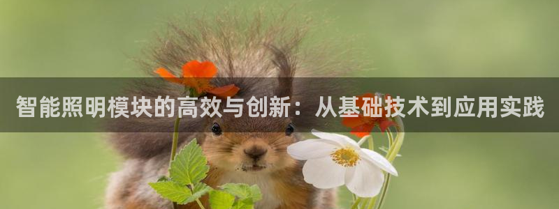 云顶电子游戏app