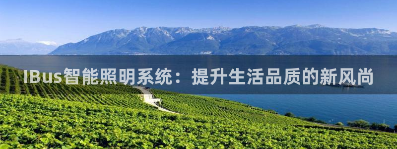 云顶集团中国区