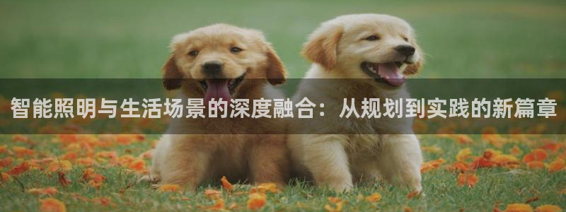 云顶国际区块链怎么样啊