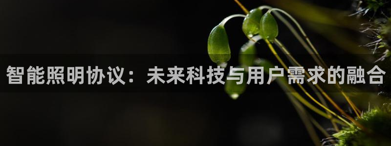 云顶国际app手机版下载