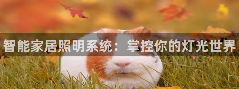 云顶中学国际部