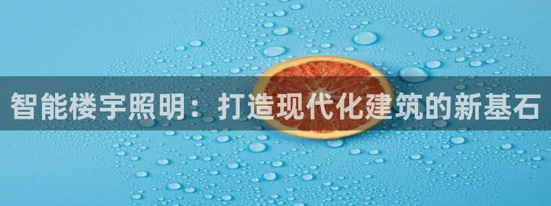 云顶集团公司简介图片