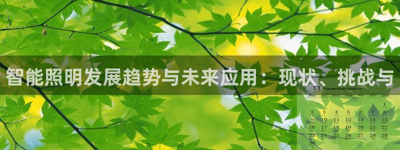 云顶国际网站是多少