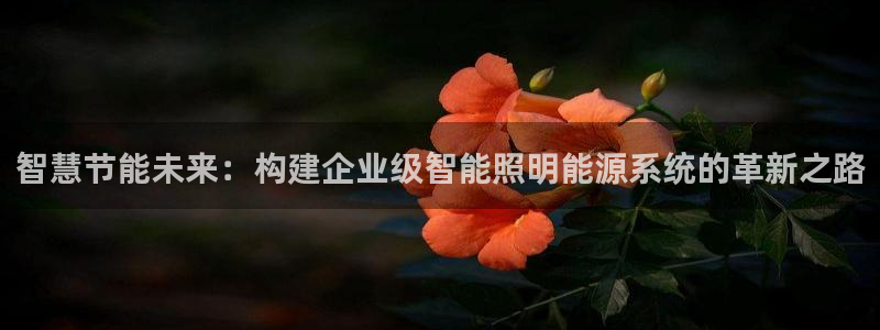 云顶国际集团发展有限公司：智慧节能未来：