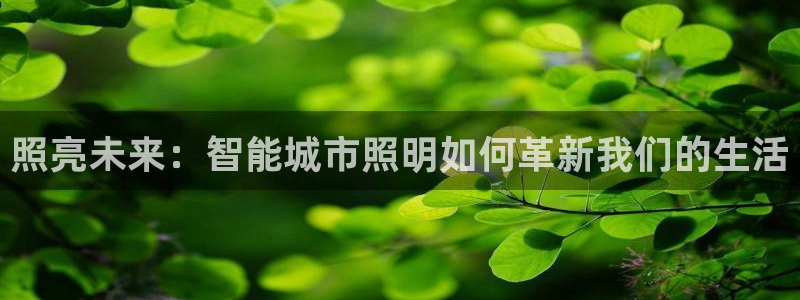 云顶国际唯一官网：照亮未来：智能城市照明
